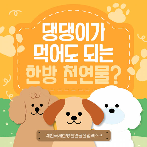 댕댕이가 먹어도 되는 한방 천연물?