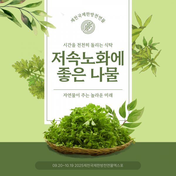 자연이 주는 가장 느린 처방전, 나물 이야기