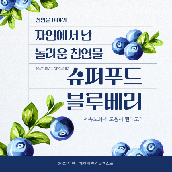 저속노화 슈퍼푸드 블루베리