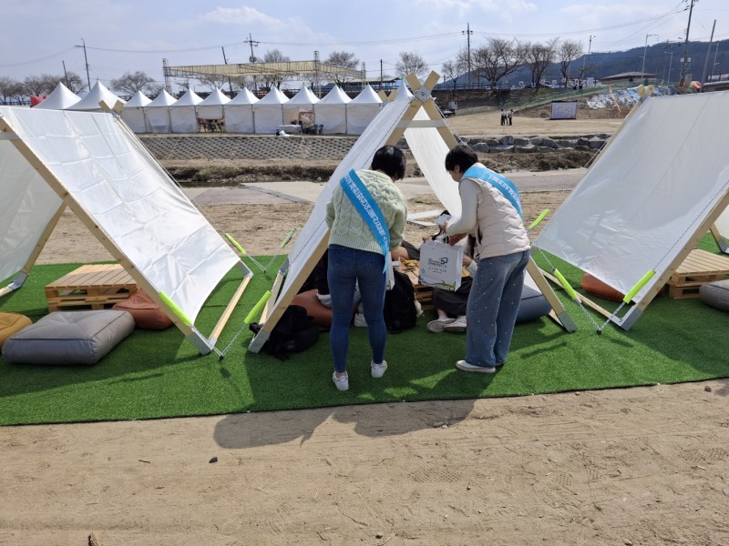 보은 벚꽃축제(4.5.)